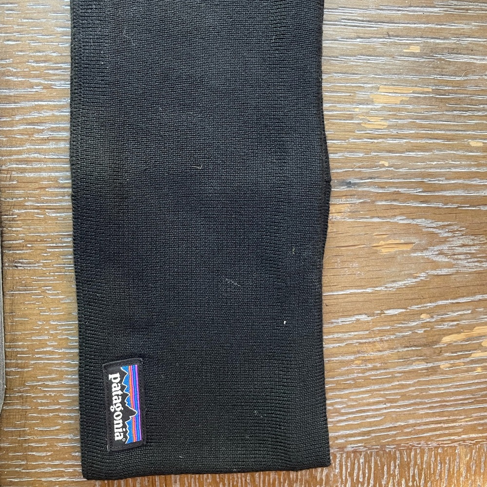 Patagonia Winter Ear Warmer Headband